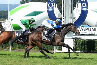 Karaka graduates dominated the finish of Saturday’s Group 3 Manawatu Classic.